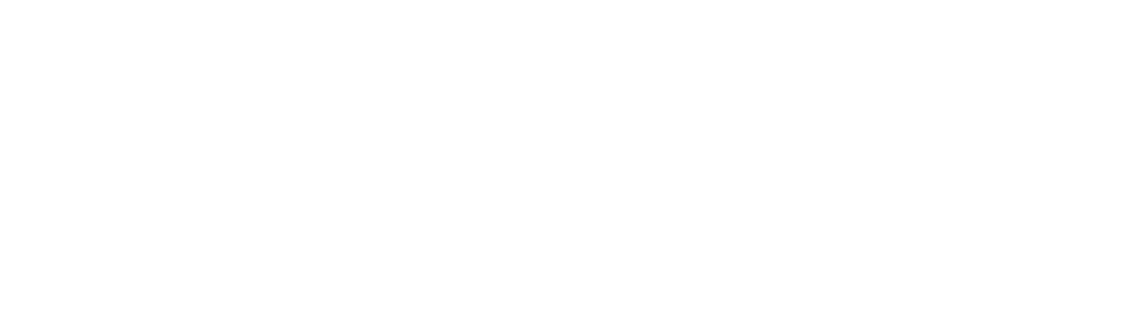 Studio29 Logo